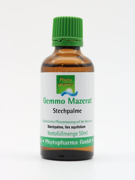 Gemmo Mazerat Stechpalme (Ilex aquifolium)